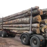 Grumes de hêtre sec livrées par 1 camion – 60M3