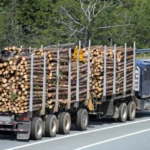Bois de Chauffage Acacia – Camion de 60 Stères – Prêt à l’Emploi