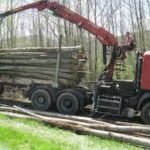 Grumes de bouleau châtaignier PEFC par 1 camion – 60M3
