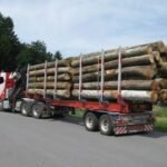 Grumes Mélèze PEFC par 1 camion – 60M3