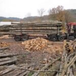 Grumes de chêne de haute qualité PEFC par 1 camion – 60M3