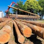 Grumes de Sapin de haute qualité PEFC par 1 camion – 60M3