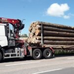 Grumes de bois Douglas – Camion de 60 Stères – Prêt à l’Emploi
