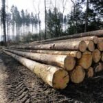 Grumes de charme PEFC par 1 camion – 60M3