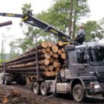 Mélanges de Grumes de hêtres, frêne chêne et charme de haute qualité PEFC par 1 camion – 60M3